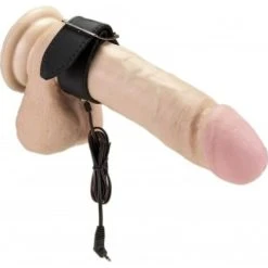 Cockring Cuir Bipolaire Electro Play RIMBA - Dildoshop
