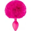 Plug Anal Queue De Lapin Fuchsia - Dildoshop